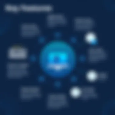 Diagram illustrating key features of effective sales programs