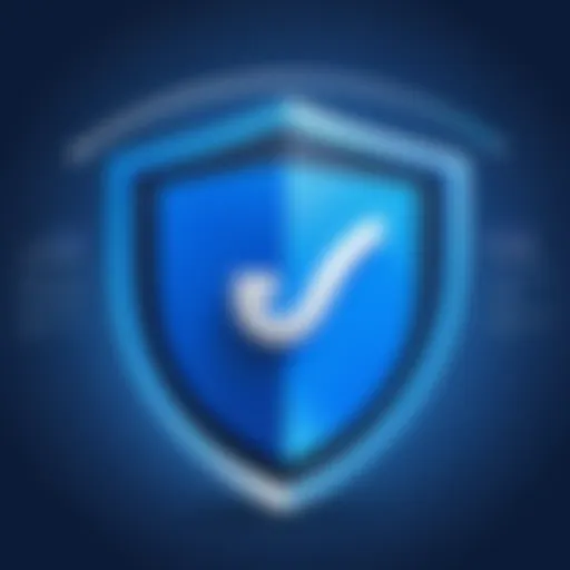 Overview of Hotspot Shield VPN features
