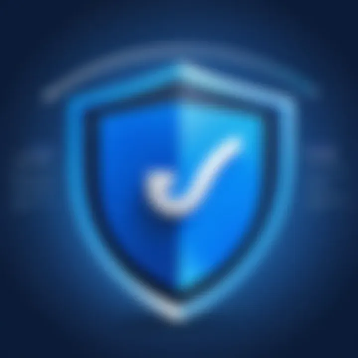 Overview of Hotspot Shield VPN features