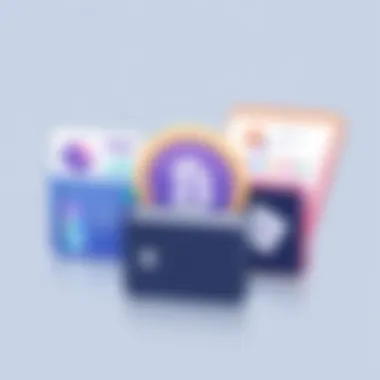 An illustration showcasing different types of decentralized wallets