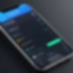 Showcasing iPhone field service applications interface