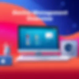 Illustration of device management interface