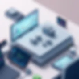 Movavi Pricing Overview