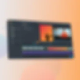 User interface of NCH VideoPad Professional showing editing timeline