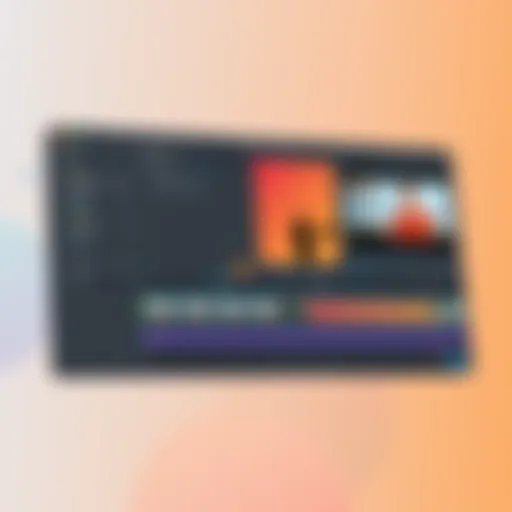 User interface of NCH VideoPad Professional showing editing timeline