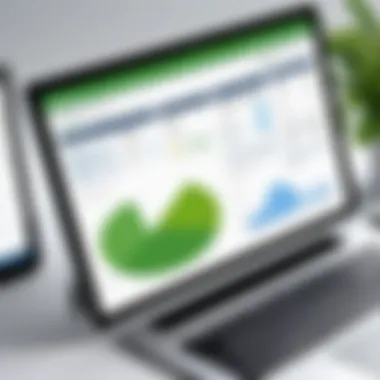 QuickBooks Billing Software Interface Detailed overview of QuickBooks billing software interface