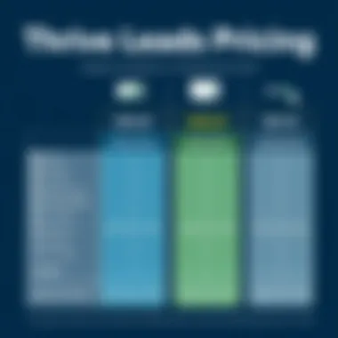 Cost structure comparison of Thrive Leads plans
