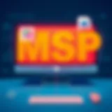 Visual representation of MSP software functionalities