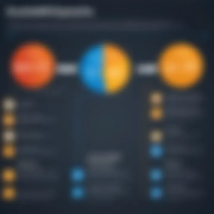 Infographic detailing direct vs. indirect expenses in NetSuite implementation