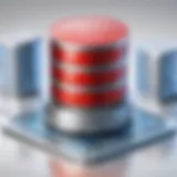 Visual representation of Oracle Database architecture