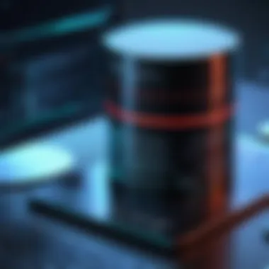 Conceptual diagram of Oracle Database security measures