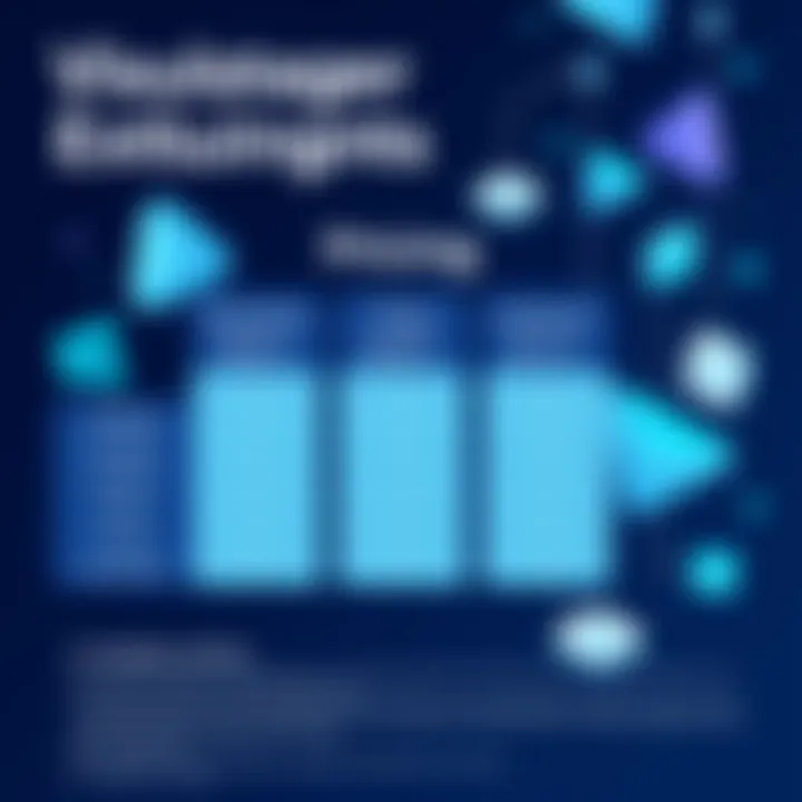 Pricing breakdown for Visualstager software