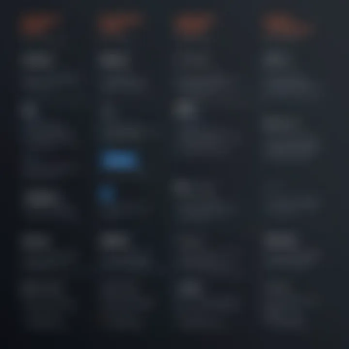 Detailed breakdown of ZoomInfo subscription tiers